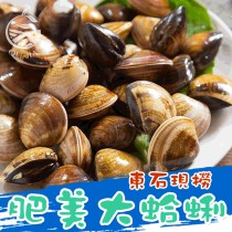【歐嘉嚴選】東石碩大肥美大蛤蠣(文蛤)-600g-冷藏-限制配送地區