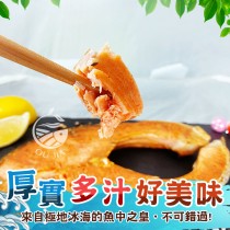 免運【歐嘉嚴選】深海厚切鮭魚6片組-330g/片
