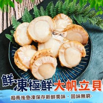 【歐嘉嚴選】熟凍級鮮大帆立貝-200G(約5~7顆)-超鮮~超甜