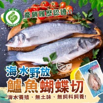 【歐嘉嚴選】海水野放鱸魚蝴蝶切-550~600g±10%/片