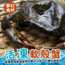 【歐嘉嚴選】生凍軟殼蟹-約6~8隻/盒-700g/盒